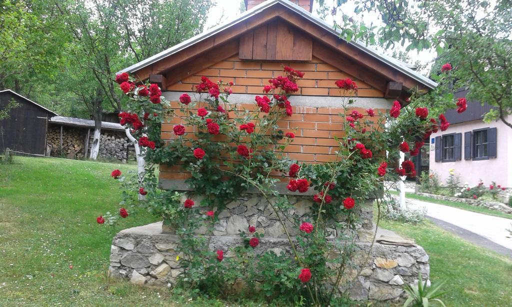 Guesthouse Andrea Poljanak Extérieur photo